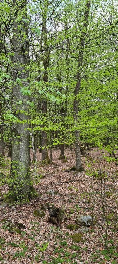 Lill Hagahus, Soederasens Nationalpark Villa Kågeröd Kültér fotó